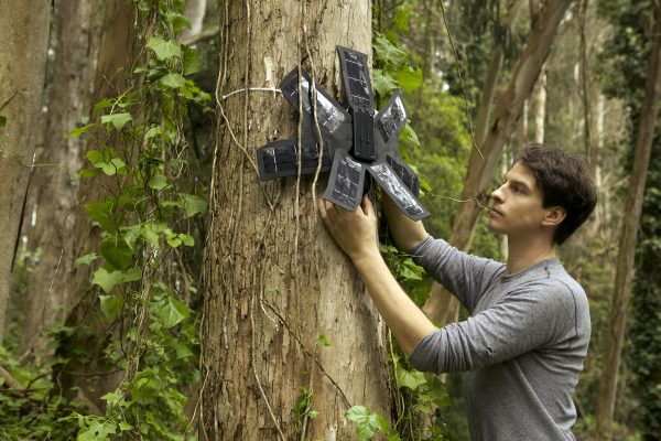 Topher White installs a "guardian" device, giving the trees ears to listen for loggers.