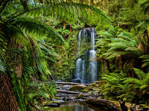 Beauchamp Falls, Great Otway National Park, Victoria